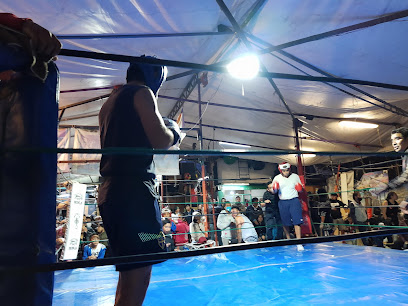 gimnasio escuela de boxeo abispon en ciudad de mexico
