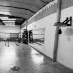 Gimnasio Escuela De Boxeo Gonzalez en Cocoyoc