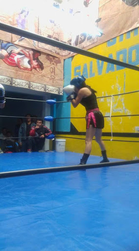 Mejores Escuelas De Box En Venustiano Carranza CDMX Cerca De Mi 542 Gimnasio Escuela De Boxeo «salvador Sánchez» en Ciudad Nezahualcóyotl