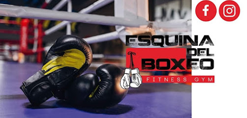Mejores Escuelas De Box En Venustiano Carranza CDMX Cerca De Mi 660 Gimnasio Esquina Del Boxeo en Ciudad De México