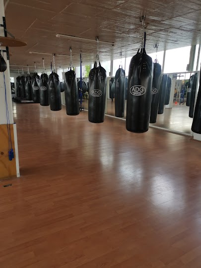 Mejores Escuelas De Box En Venustiano Carranza CDMX Cerca De Mi 1890 Gimnasio Evolution Gym Center en Ciudad De México