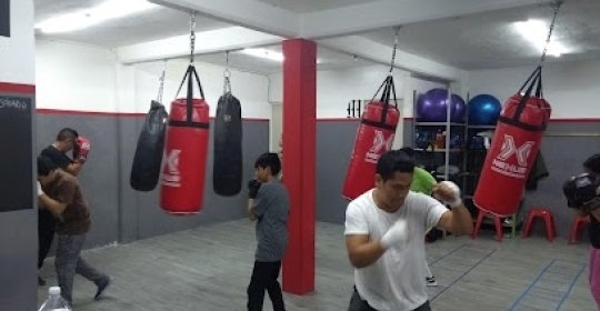 Mejores Escuelas De Box En Venustiano Carranza CDMX Cerca De Mi 564 Gimnasio Fox Fitness en Ciudad De México