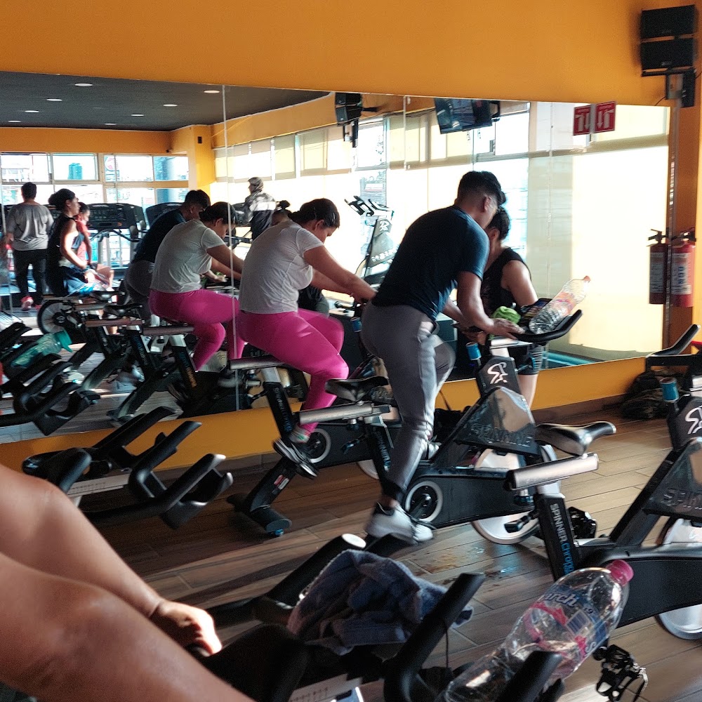 Mejores Escuelas De Box En Venustiano Carranza CDMX Cerca De Mi 985 Gimnasio Gimnasio Apolo en Ciudad De México