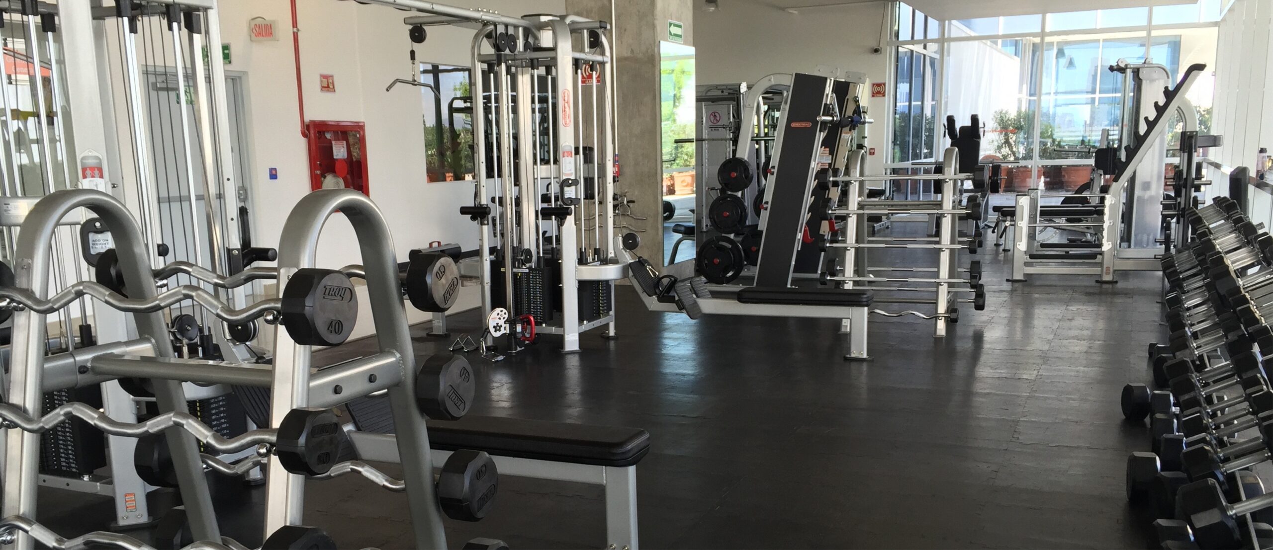 Mejores Escuelas De Box En Venustiano Carranza CDMX Cerca De Mi 1613 Gimnasio Gimnasio C+ Nuevo Polanco en Ciudad De México