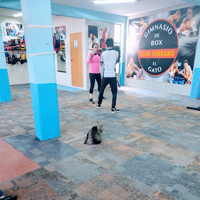 Mejores Escuelas De Box En Venustiano Carranza CDMX Cerca De Mi 537 Gimnasio Gimnasio De Box Club Serrano. en Ciudad De México