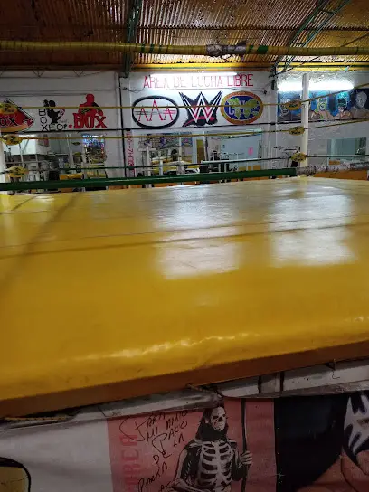 Mejores Escuelas De Box En Venustiano Carranza CDMX Cerca De Mi 1765 Gimnasio Gimnasio Mr. Fortis en Ciudad De México