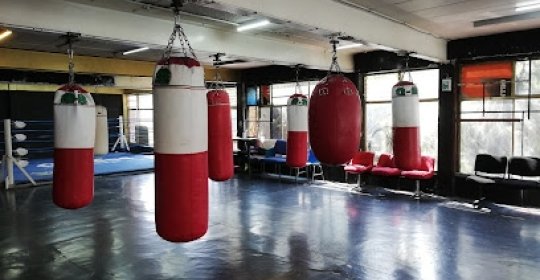 Mejores Escuelas De Box En Venustiano Carranza CDMX Cerca De Mi 665 Gimnasio Gimnasio Pancho Rosales Oficial en Ciudad De México