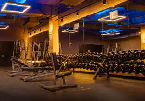 Mejores Escuelas De Box En Venustiano Carranza CDMX Cerca De Mi 809 Gimnasio Gimnasio Smart Fit – Arenal en Ciudad De México