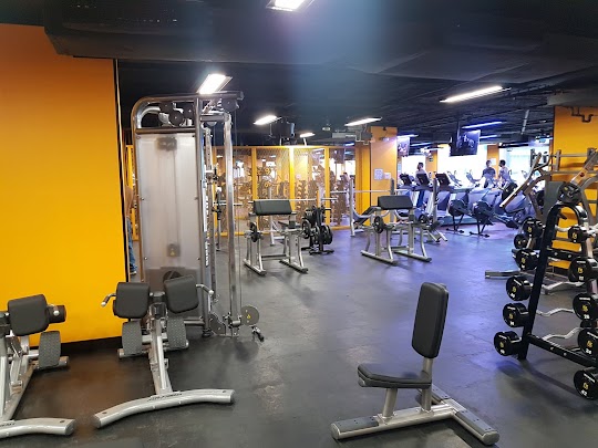 Mejores Escuelas De Box En Venustiano Carranza CDMX Cerca De Mi 1983 Gimnasio Gimnasio Smart Fit – General Anaya en Ciudad De México