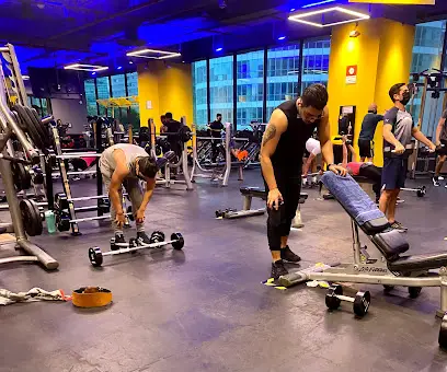 Mejores Escuelas De Box En Venustiano Carranza CDMX Cerca De Mi 1601 Gimnasio Gimnasio Smart Fit – Miyana en Ciudad De México