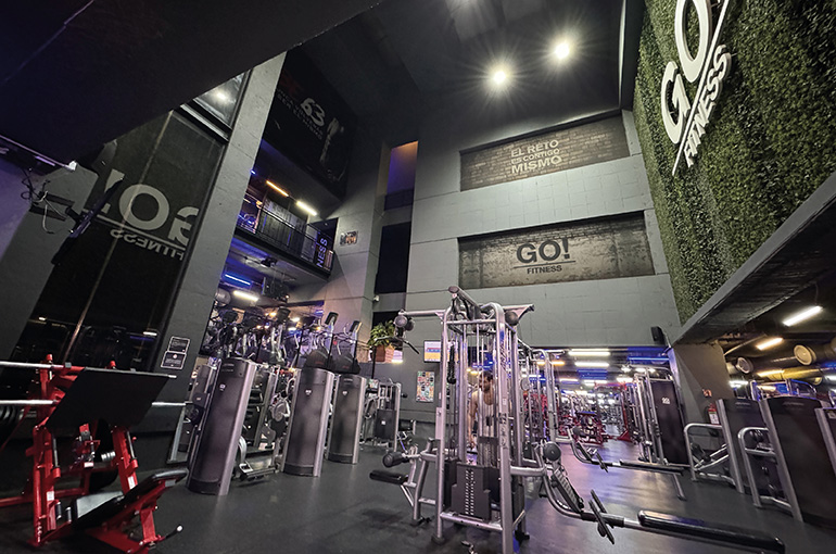 Mejores Escuelas De Box En Venustiano Carranza CDMX Cerca De Mi 2166 Gimnasio Go Fitness Altavista en Ciudad De México