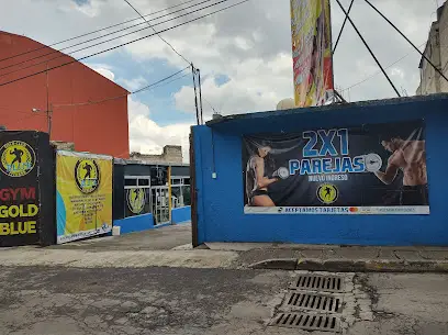 Mejores Escuelas De Box En Venustiano Carranza CDMX Cerca De Mi 1672 Gimnasio Gold Club Fitness Blue en Ciudad De México
