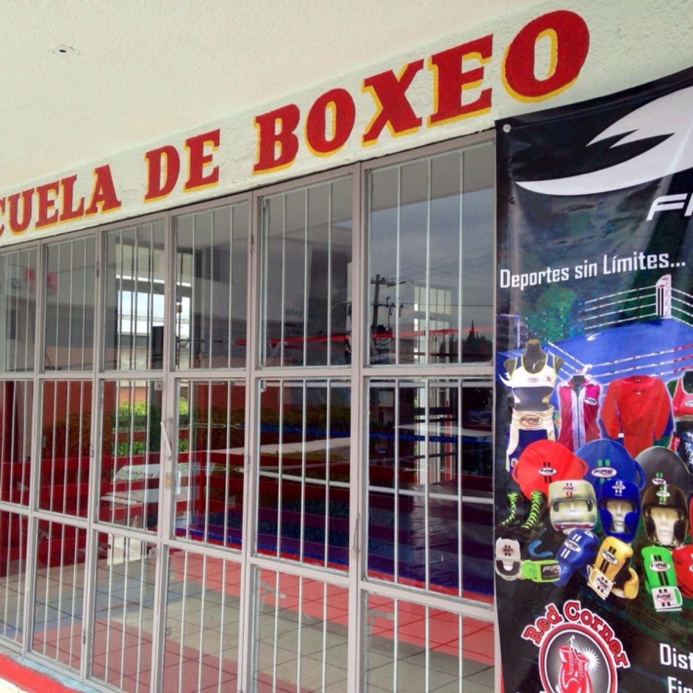 Mejores Escuelas De Box En Venustiano Carranza CDMX Cerca De Mi 789 Gimnasio Gym Rosas Box en Ciudad De México