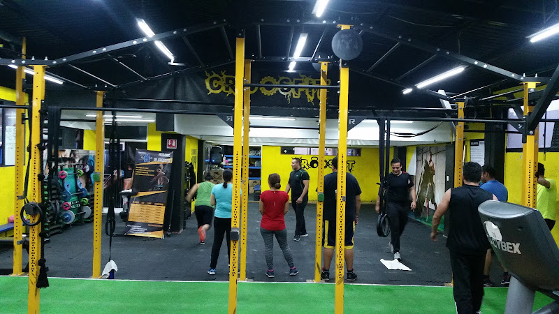 Mejores Escuelas De Box En Venustiano Carranza CDMX Cerca De Mi 1903 Gimnasio Gym Titos en Ciudad De México