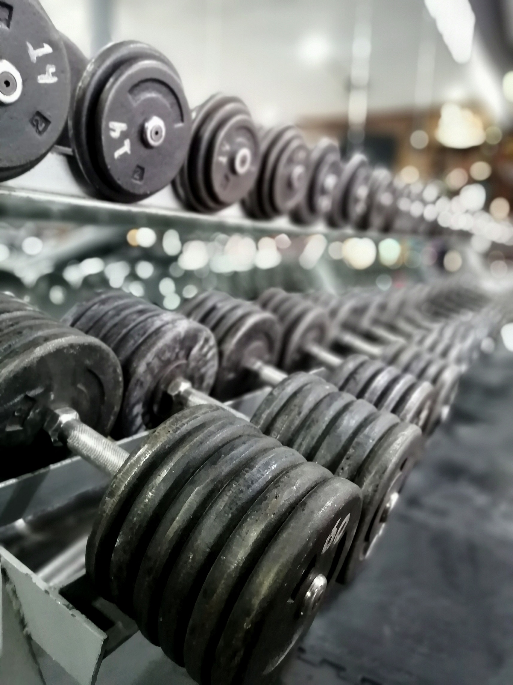 Mejores Escuelas De Box En Venustiano Carranza CDMX Cerca De Mi 491 Gimnasio Hammer Gym en Ciudad De México
