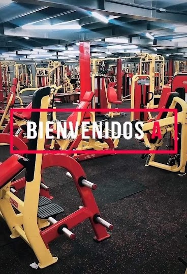 Mejores Escuelas De Box En Venustiano Carranza CDMX Cerca De Mi 1970 Gimnasio Hd Sport Fitness Cafetales en Ciudad De México