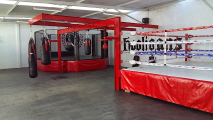 Mejores Escuelas De Box En Venustiano Carranza CDMX Cerca De Mi 590 Gimnasio Hooligans Box & Mma en Ciudad De México