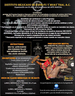 Mejores Escuelas De Box En Venustiano Carranza CDMX Cerca De Mi 446 Gimnasio Instituto Mexicano De Kung Fu Y Muay Thai en Ciudad De México