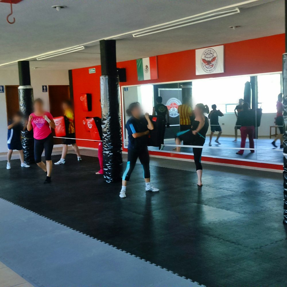 Mejores Escuelas De Box En Venustiano Carranza CDMX Cerca De Mi 466 Gimnasio Instituto Nacional De Boxeo Chino en Ciudad De México