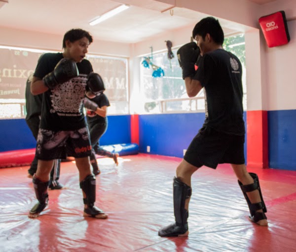 Mejores Escuelas De Box En Venustiano Carranza CDMX Cerca De Mi 629 Gimnasio Kickboxing & Mma – Cuauhtémoc en Ciudad De México