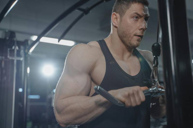 gimnasio leones legendarios artes marciales en ciudad de mexico