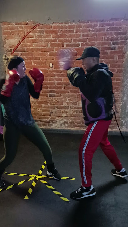 Mejores Escuelas De Box En Venustiano Carranza CDMX Cerca De Mi 740 Gimnasio Lion Boxing Nef en Ciudad De México