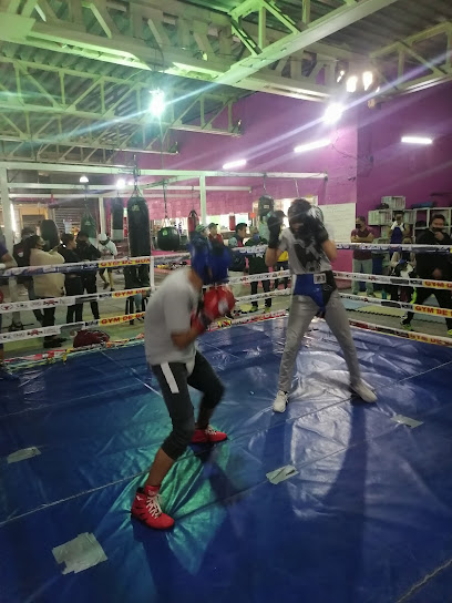 Fortaleza Boxig Díaz Gimnasio De Box Revisión Y Opiniones 17 Gimnasio Los Recios De La Merced