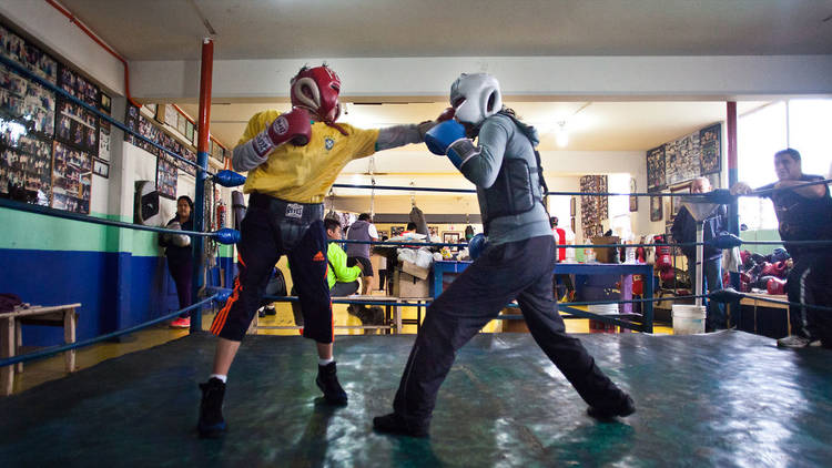 Mejores Escuelas De Box En Venustiano Carranza CDMX Cerca De Mi 247 Gimnasio Lupita