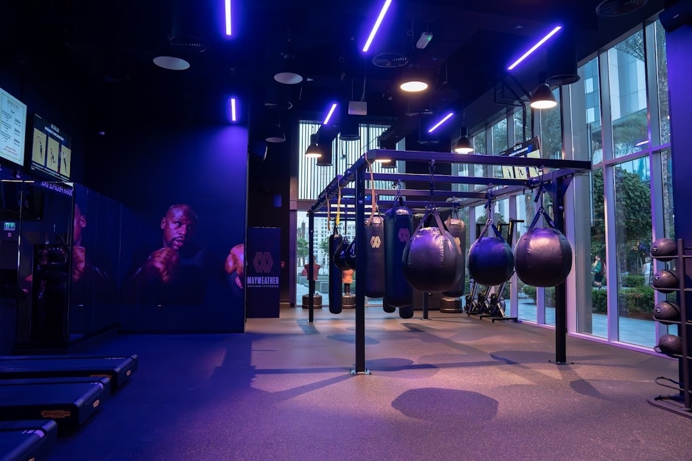 Mejores Escuelas De Box En Venustiano Carranza CDMX Cerca De Mi 527 Gimnasio Mau Mejia Boxing en Ciudad De México