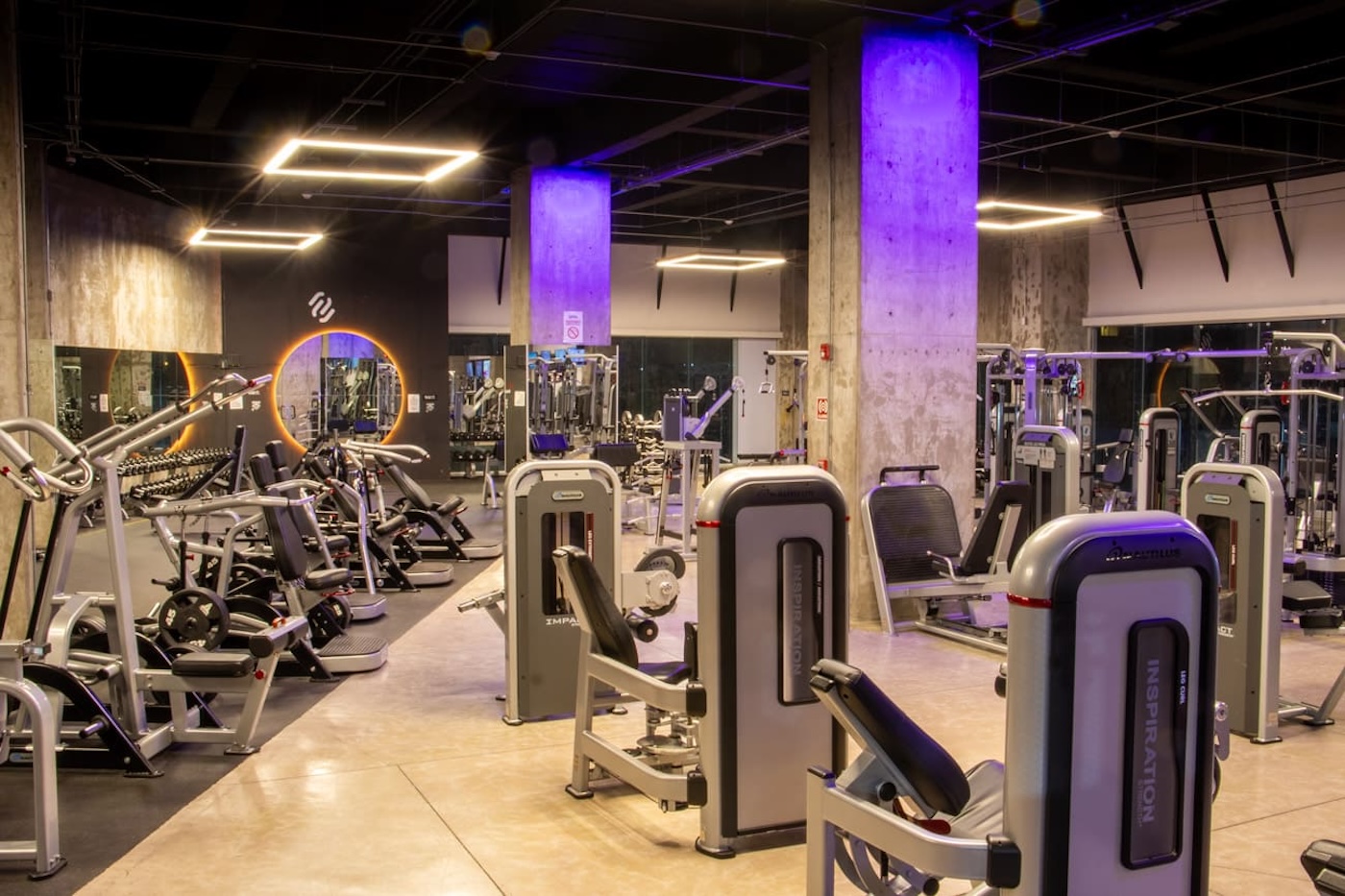 Mejores Escuelas De Box En Venustiano Carranza CDMX Cerca De Mi 1721 Gimnasio Muscle Fit Gym en Ciudad De México