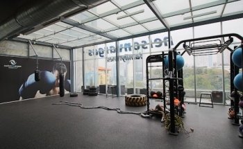 Mejores Escuelas De Box En Venustiano Carranza CDMX Cerca De Mi 1944 Gimnasio Nelson Vargas Family Fitness Santa Fe en Ciudad De México