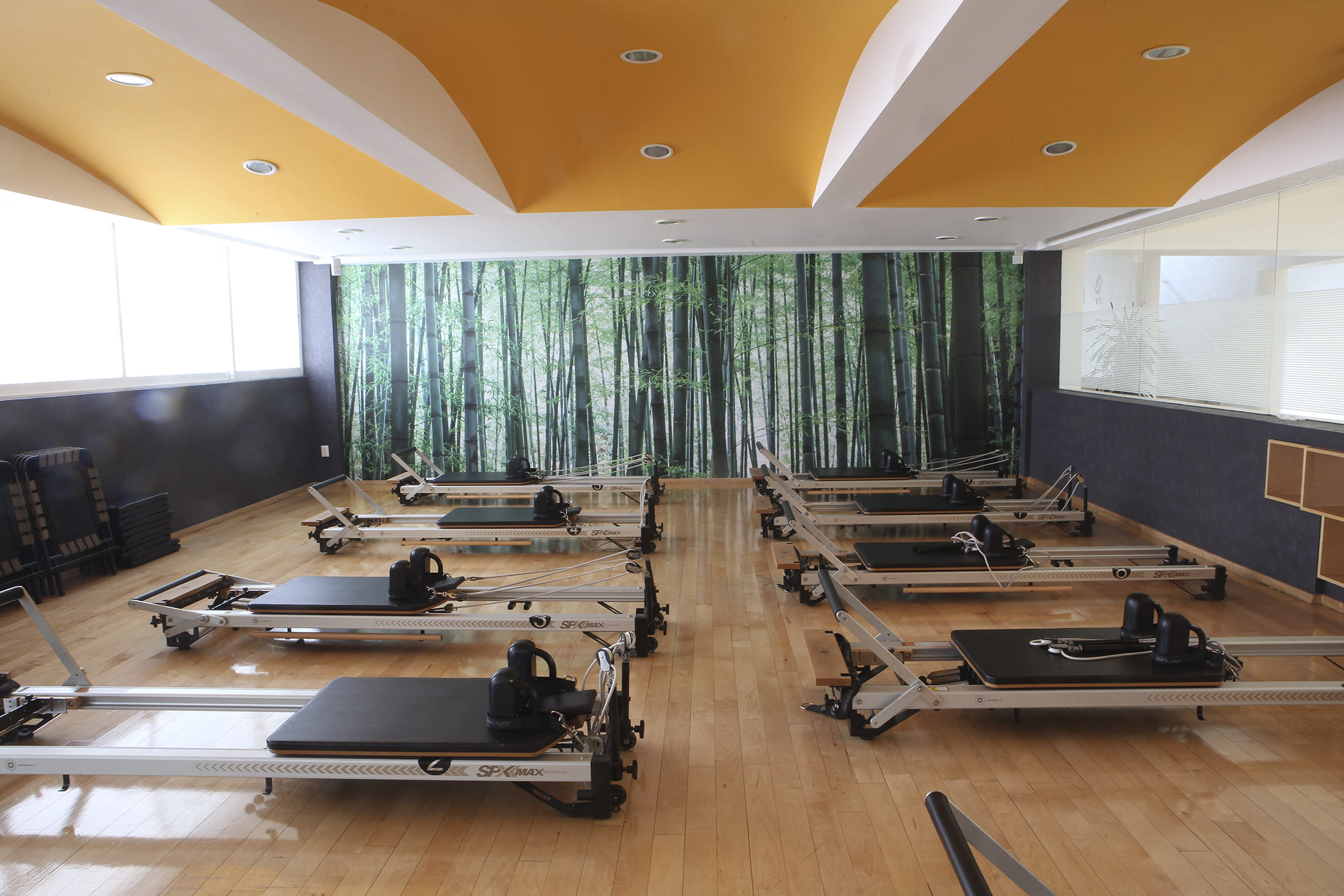 Mejores Escuelas De Box En Venustiano Carranza CDMX Cerca De Mi 1652 Gimnasio Nelson Vargas Familyfitness San Jerónimo en Ciudad De México