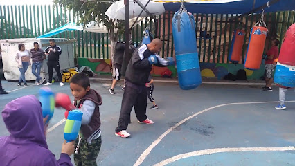 gimnasio netosboxing en ciudad de mexico