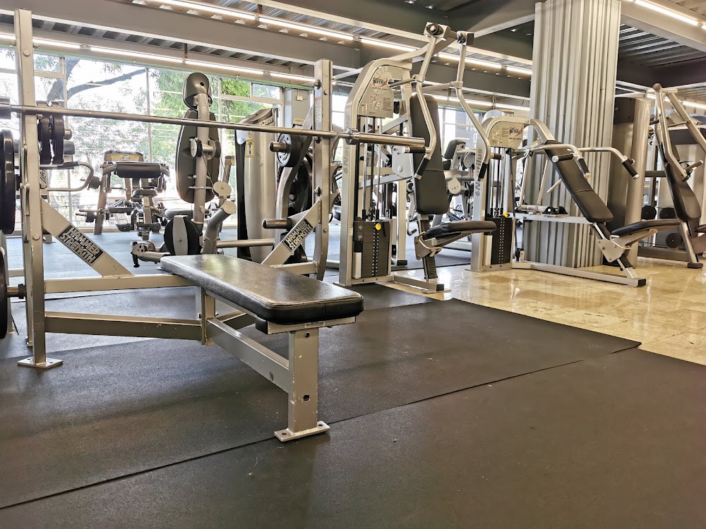 Mejores Escuelas De Box En Venustiano Carranza CDMX Cerca De Mi 806 Gimnasio New Body Gym en Xochimilco