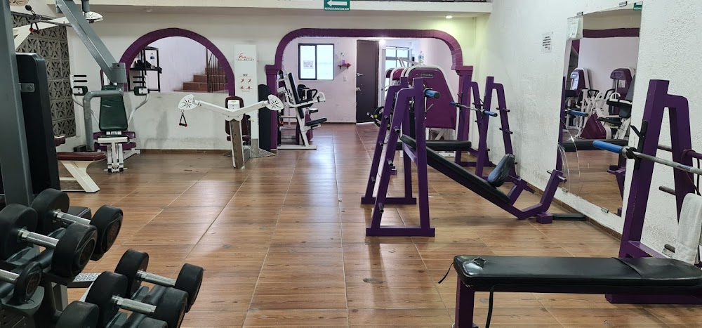 Mejores Escuelas De Box En Venustiano Carranza CDMX Cerca De Mi 1762 Gimnasio Power House Gym en Ciudad De México