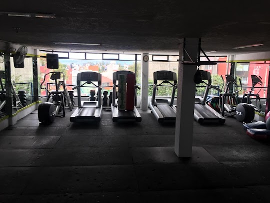 Mejores Escuelas De Box En Venustiano Carranza CDMX Cerca De Mi 2184 Gimnasio Rhythmic Gym 24 Hrs Oficial en Ciudad De México