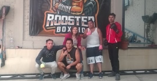 Mejores Escuelas De Box En Venustiano Carranza CDMX Cerca De Mi 489 Gimnasio Rooster Boxing en Ciudad De México