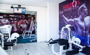 gimnasio scoobyy gym en ciudad de mexico