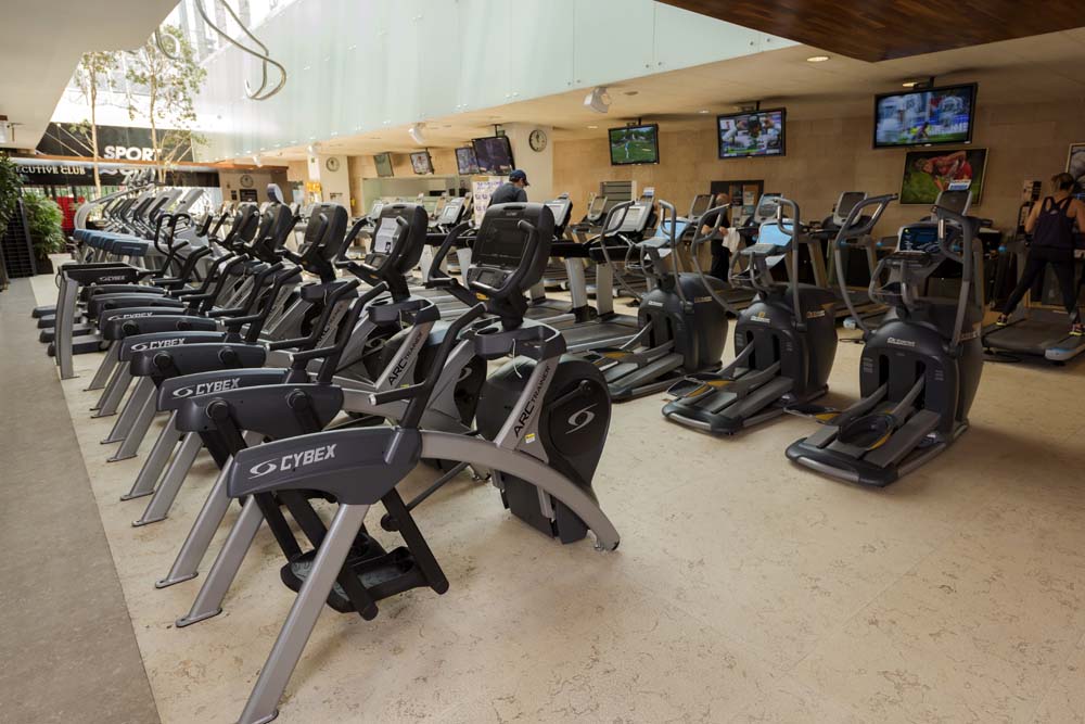 Mejores Escuelas De Box En Venustiano Carranza CDMX Cerca De Mi 1602 Gimnasio Sport City Lomas Plaza en Ciudad De México