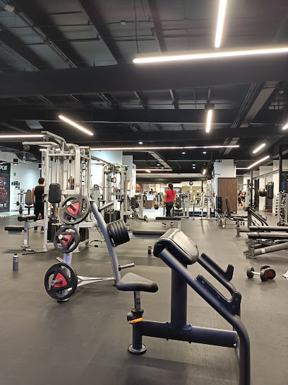 Mejores Escuelas De Box En Venustiano Carranza CDMX Cerca De Mi 2157 Gimnasio Sports World Portal San Ángel en Ciudad De México