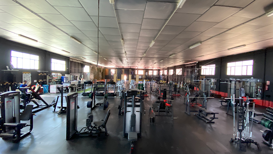 Mejores Escuelas De Box En Venustiano Carranza CDMX Cerca De Mi 951 Gimnasio Temple Gym en Ciudad De México
