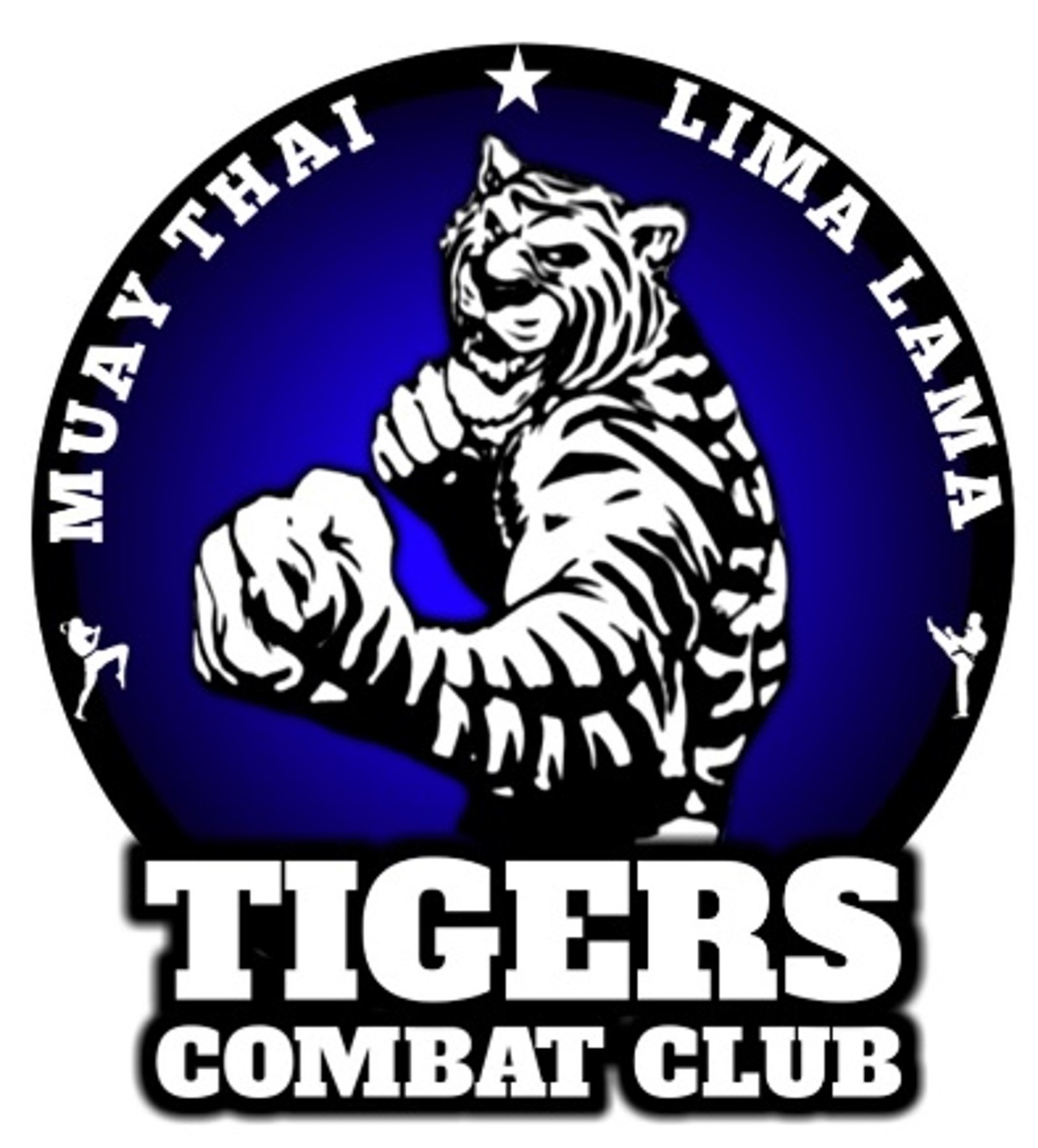 Mejores Escuelas De Box En Venustiano Carranza CDMX Cerca De Mi 437 Gimnasio Tigres Combat Club en Ciudad De México