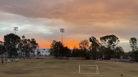 Mejores Escuelas De Box En Venustiano Carranza CDMX Cerca De Mi 2084 Gimnasio Unidad Deportiva Benito Juarez Xalpa en Ciudad De México