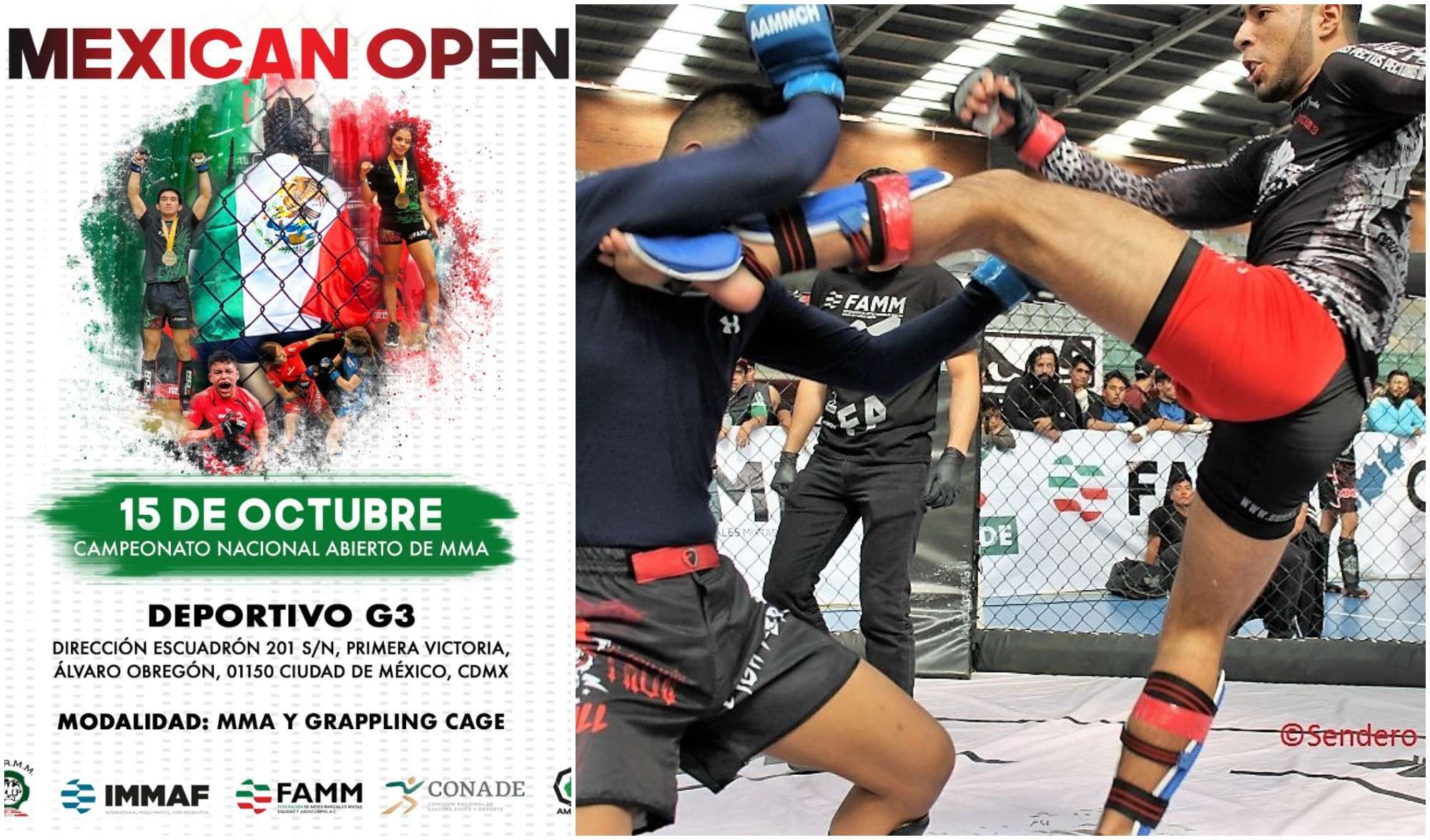 Mejores Escuelas De Box En Venustiano Carranza CDMX Cerca De Mi 547 Gimnasio Wolfpack Fighting Club – Boxeo Mexicano Y Mma en Ciudad De México