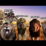 Leones Legendarios Artes Marciales Revisión Y Opiniones