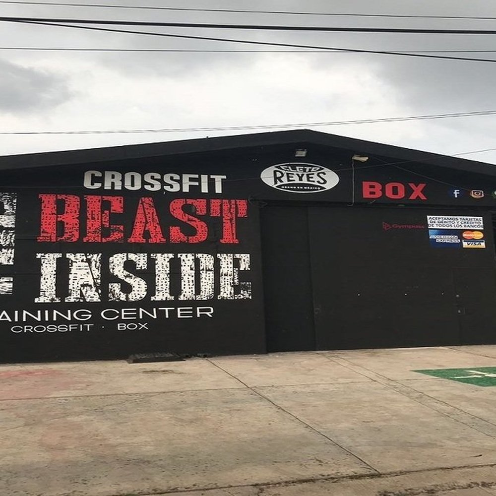 Mejores Escuelas De Box En Venustiano Carranza CDMX Cerca De Mi 41 Escuelas De Box En Coyoacán CDMX