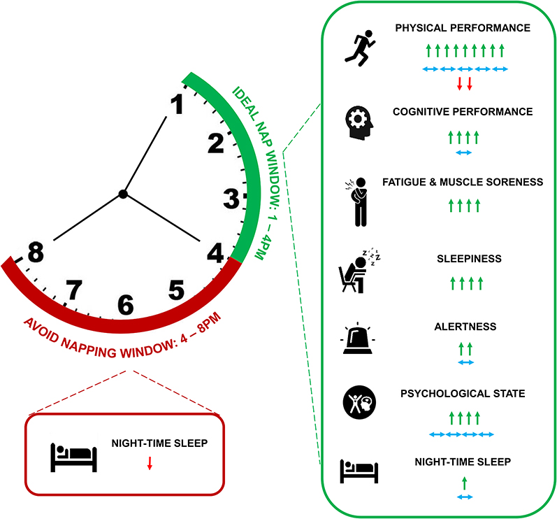Mejores Escuelas De Box En Venustiano Carranza CDMX Cerca De Mi 150 NAP Sport