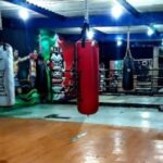 Nava Boxing Revisión Y Opiniones