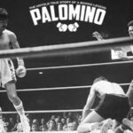Palomino Boxing Revisión Y Opiniones