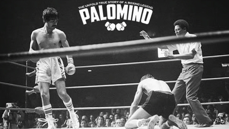 Fortaleza Boxig Díaz Gimnasio De Box Revisión Y Opiniones 13 Palomino Boxing